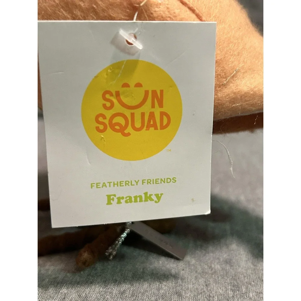 Sun Squad Featherly Friends Franky Brown Blackbird Figurine Hot Dog Decor Small